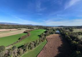 Brandon HUNT - BRANDON HUNT