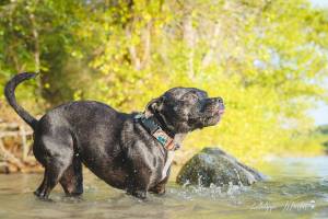 Philippe MURTAS - PHILIPPE MURTAS PHOTOGRAPHE